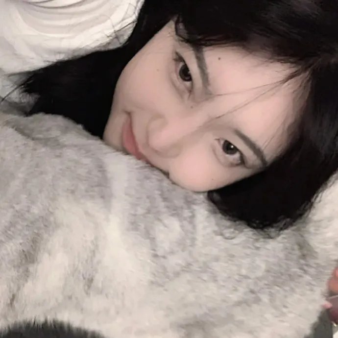 星耀女孩:好莱坞篇